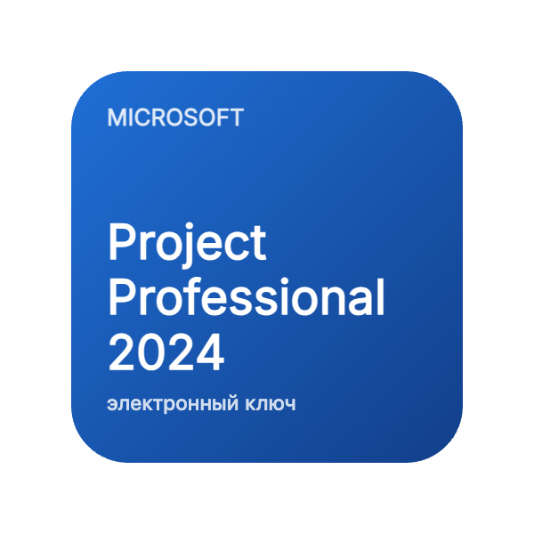 Project Professional 2024, электронный ключ в Казахстане