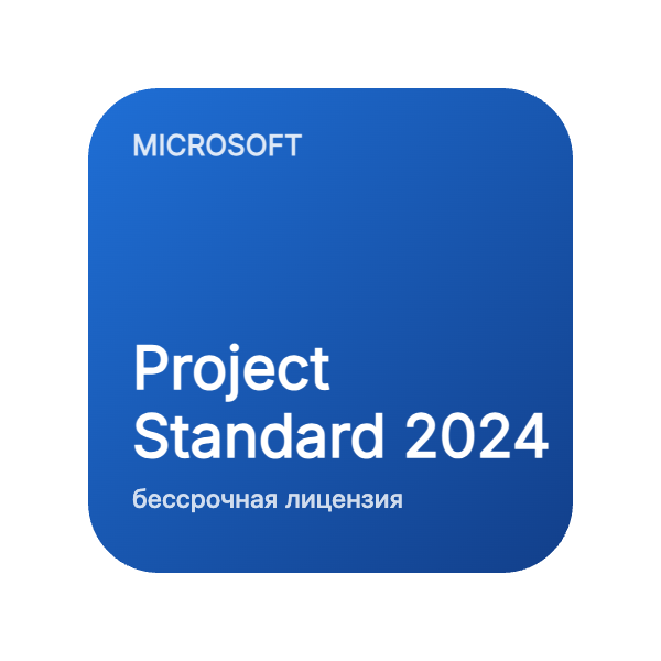 Project Standard 2024 (бессрочная лицензия) в Казахстане
